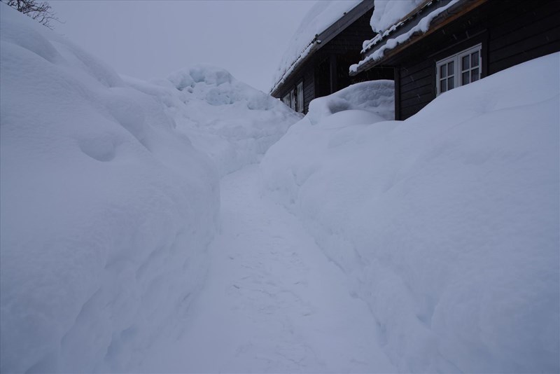 Bildegalleri - Nok av snø