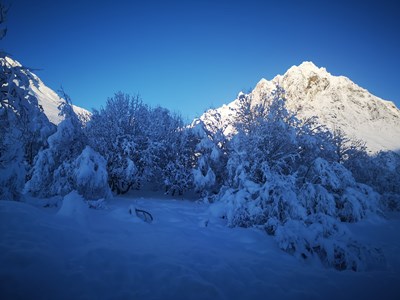 Geithorn ledig frå Skjærtorsdag 2022