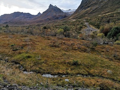 Haust i fjellet